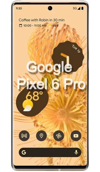 Ремонт телефона Google Pixel 6 Pro в Минске