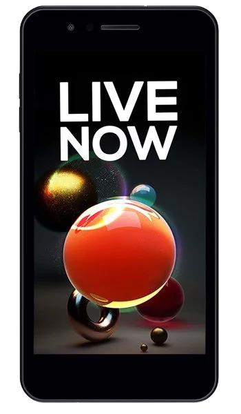 Ремонт телефона LG Candy в Минске